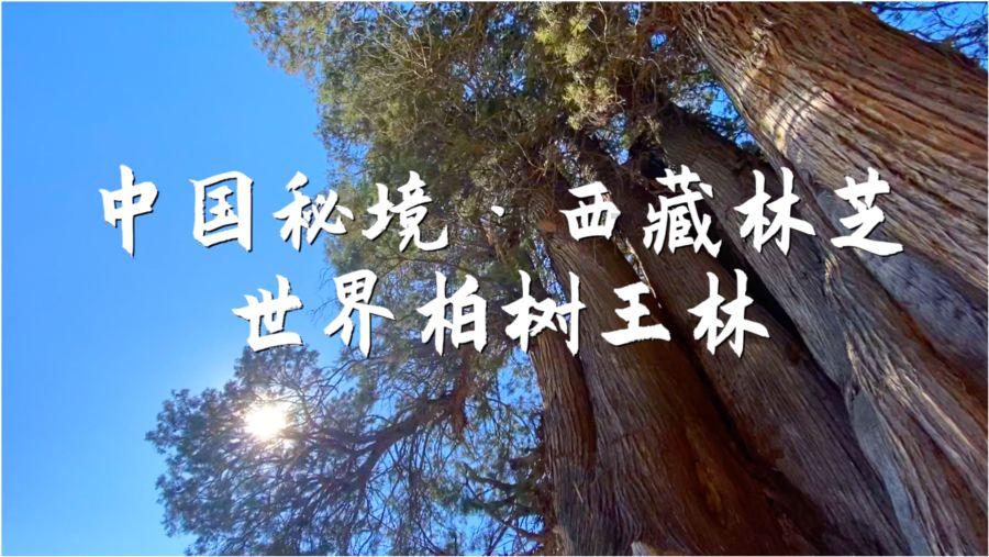 大豪宅逃脱7
